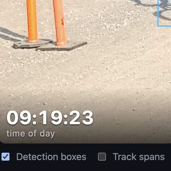 Bottom of the video showing 09:19:23 labelled 'time of day', above checkboxes for Detection boxes and Track spans