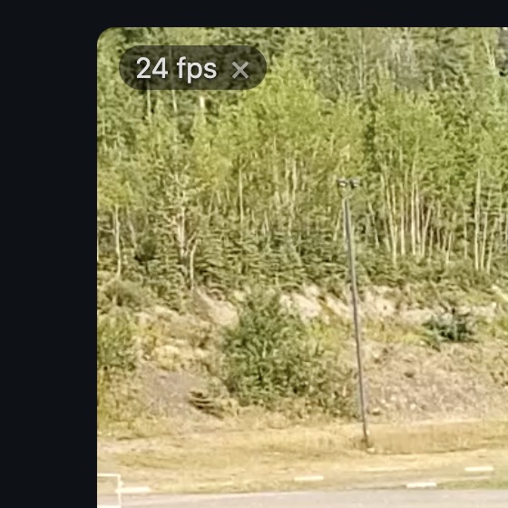A badge in the top-left corner of the video reading '24 fps' with a dismiss cross